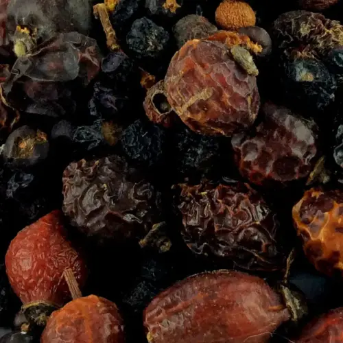 BIO Beeren Mix | MikronΓ€hrstoffe und Antioxidantien fΓΌr Pferde | spezielle Futtermittel 6 ErgΓ€nzungsfuttermittel MikronΓ€hrstoffe Antioxidantien NatΓΌrlich Pferd BIO Beeren Mix