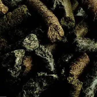 BIO Lecker Mix | Leckerli fΓΌr Pferde | Vitalstoffreiche Belohnung 5 ErgΓ€nzungsfuttermittel NatΓΌrlich Pferd BIO Lecker Mix