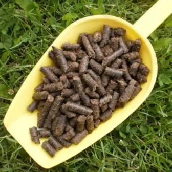 BIO Lein Presskuchen, Pellets | Presskuchen fΓΌr Pferde | besonderes Futtermittel als NahrungsergΓ€nzung 8 Einzelfuttermittel NatΓΌrlich Pferd BIO Lein Presskuchen Verdauung