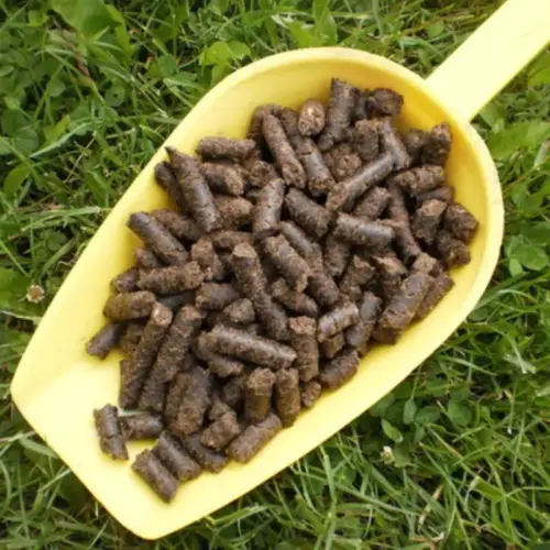 BIO Lein Presskuchen, Pellets | Presskuchen fΓΌr Pferde | besonderes Futtermittel als NahrungsergΓ€nzung 8 Einzelfuttermittel NatΓΌrlich Pferd BIO Lein Presskuchen Verdauung