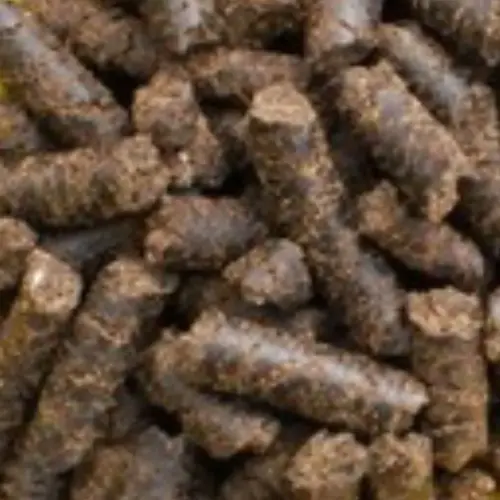 BIO Lein Presskuchen, Pellets | Presskuchen fΓΌr Pferde | besonderes Futtermittel als NahrungsergΓ€nzung 7 Einzelfuttermittel NatΓΌrlich Pferd BIO Lein Presskuchen Verdauung