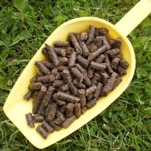 BIO Mariendistel Presskuchen, Pellets | Presskuchen fΓΌr Pferde | besonderes Futtermittel als NahrungsergΓ€nzung 8 Einzelfuttermittel NatΓΌrlich Pferd BIO Mariendistel Presskuchen Leber entgiften schΓΌtzen