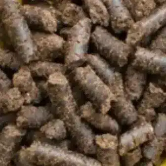 BIO Mariendistel Presskuchen, Pellets | Presskuchen für Pferde | besonderes Futtermittel als Nahrungsergänzung 7 Einzelfuttermittel Natürlich Pferd BIO Mariendistel Presskuchen Leber entgiften schützen