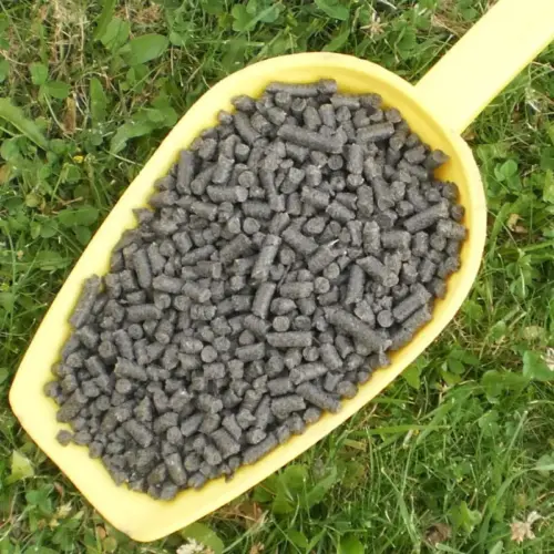 BIO Sonnenblumen Presskuchen, grobes Granulat | Presskuchen fΓΌr Pferde | besonderes Futtermittel als NahrungsergΓ€nzung 8 Einzelfuttermittel NatΓΌrlich Pferd BIO Sonnenblumen Presskuchen Verdauung Haut entzΓΌndungshemmend