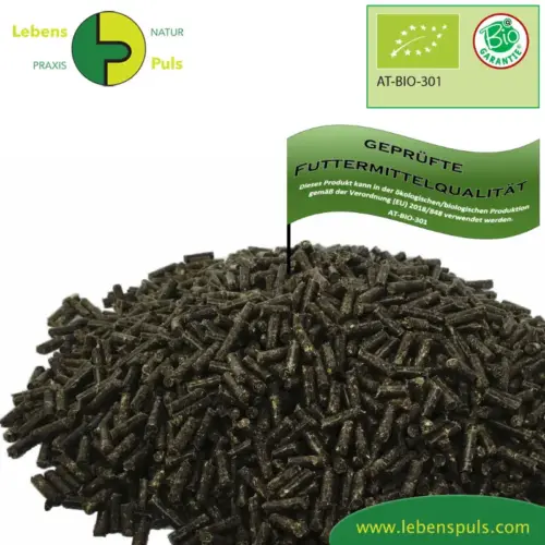 SOLO Muskel Fit | Mineralien und Spurenelemente für Pferde | wertvolle Nahrungsergänzung 1 Ergänzungsfuttermittel Natürlich Pferd SOLO Muskel Fit Mineralien Spurenelemente