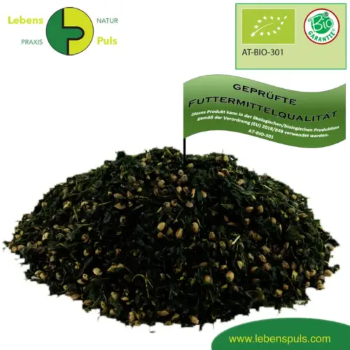 BIO Hanf Konzentrat | Superfood fΓΌr Pferde | vitalstoffreiche ErgΓ€nzung 1 ErgΓ€nzungsfuttermittel NatΓΌrlich Pferd BIO Hanf Konzentrat VitalitΓ€t Arthrose Ekzem