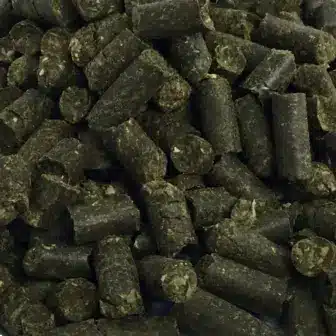 BIO Hanf Pellets | Superfood fΓΌr Pferde | vitalstoffreiche ErgΓ€nzung 6 Einzelfuttermittel NatΓΌrlich Pferd BIO Hanf Pellets VitalitΓ€t EMS Kotwasser Sommerekzem