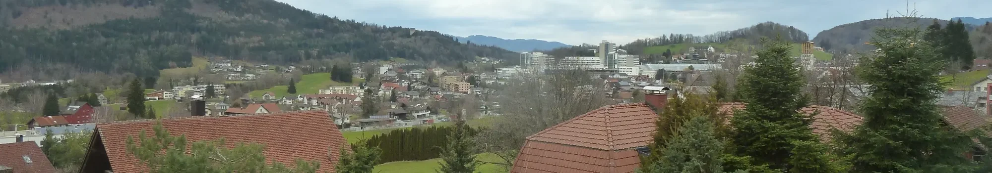 Aussicht Feldkirch