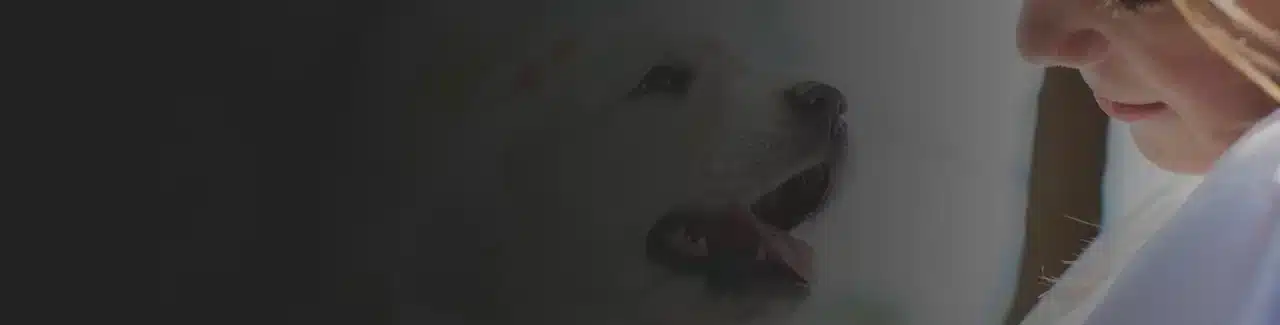 Menü Beratung